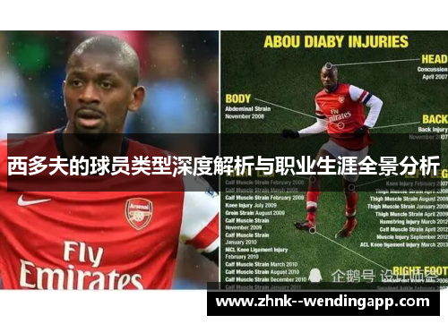 西多夫的球员类型深度解析与职业生涯全景分析