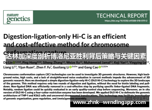 达林加深度剖析博洛尼亚胜利背后策略与关键因素